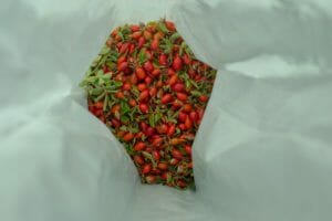 rosehip inside a bag